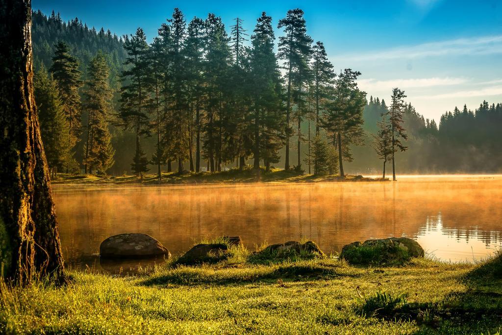 Romantica Forest Resort Dospat