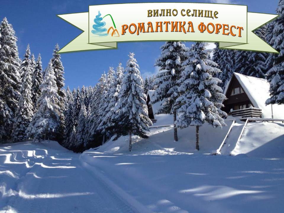 Romantica Forest 3* Доспат