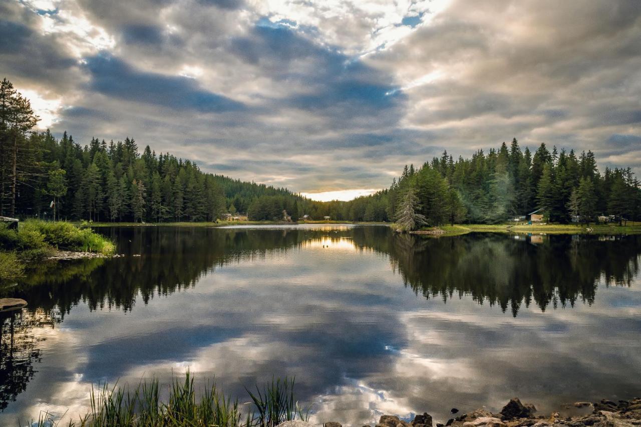Romantica Forest Курортний комплекс