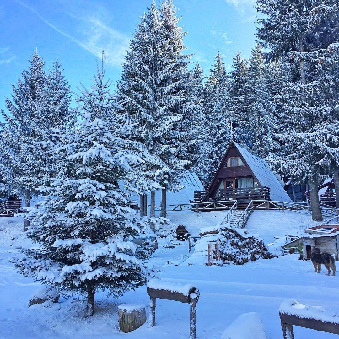Курортний комплекс Romantica Forest 3*